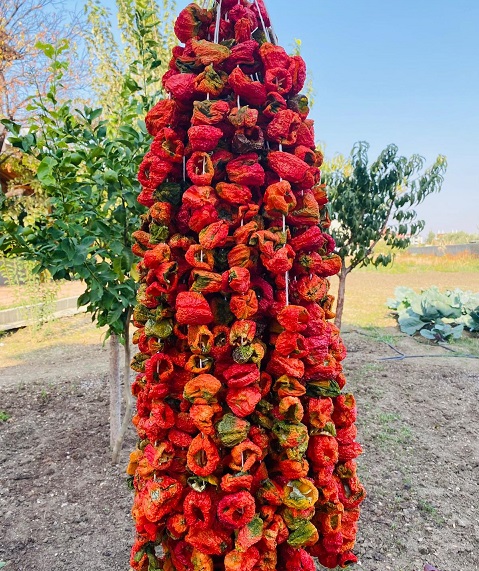 Kurutulmuş Patlıcan